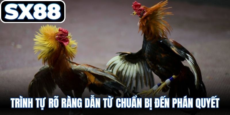 Trình tự rõ ràng dẫn từ chuẩn bị đến phán quyết