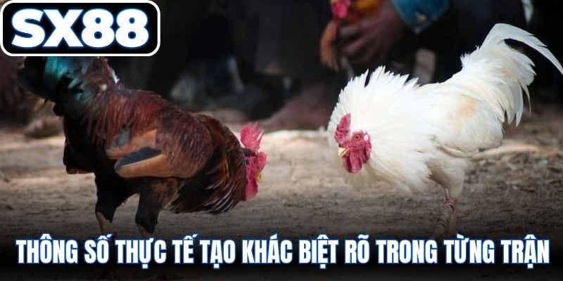 Thông số thực tế tạo khác biệt rõ trong từng trận