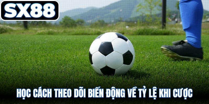 Học cách theo dõi biến động về tỷ lệ khi cược