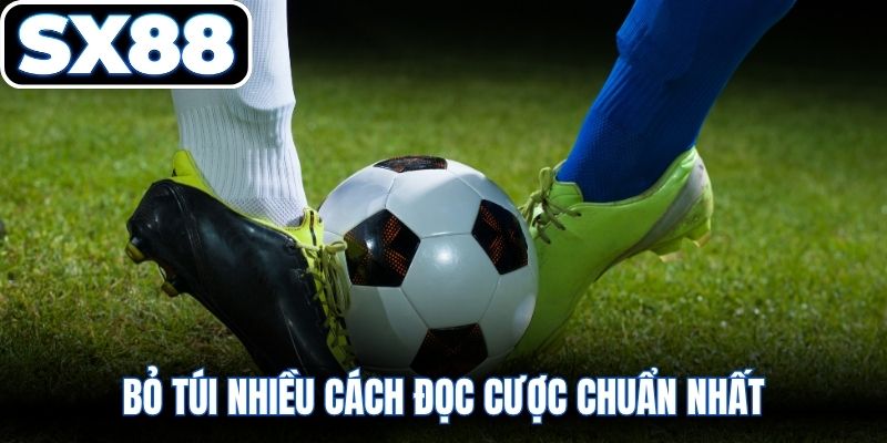 Bỏ túi nhiều cách đọc cược chuẩn nhất