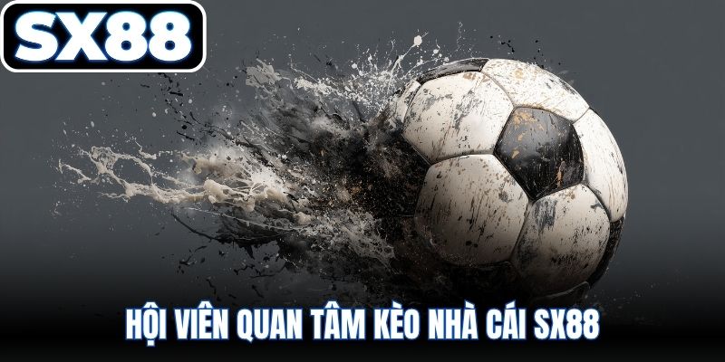 Hội viên quan tâm kèo nhà cái SX88