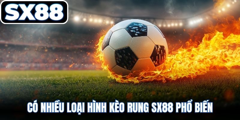 Có nhiều loại hình kèo rung SX88 phổ biến